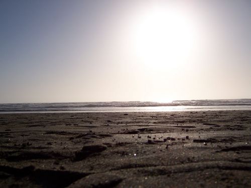 Ocean Beach (palo-alto_100_8606.jpg) wird geladen. Eindrucksvolle Fotos von der Westküste Amerikas erwarten Sie.